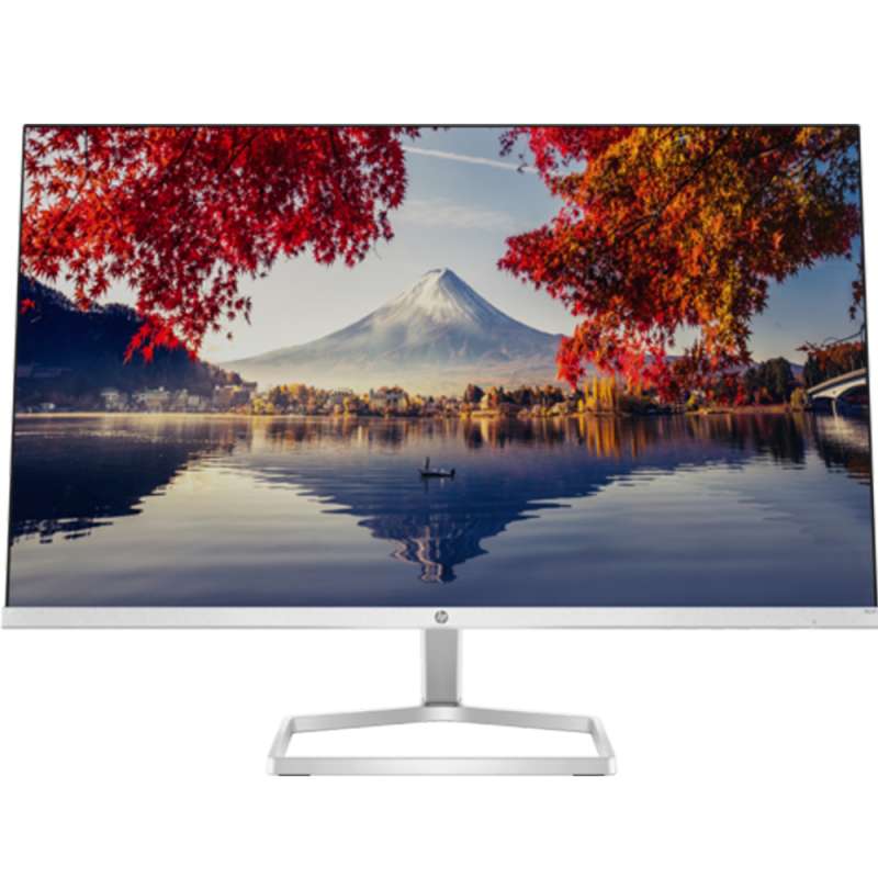 HP 24inch display /M24fm/